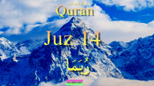 Quran fast recitation 14