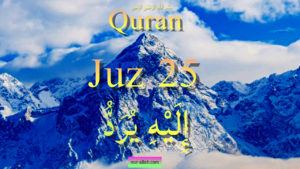 Quran fast recitation 25