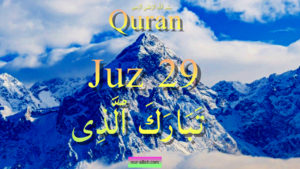 Quran fast recitation 29