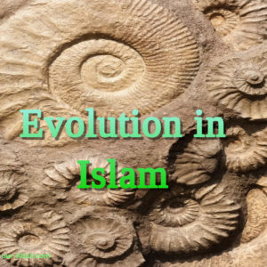 Evolution in Islam
