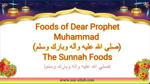 Sunnah Foods